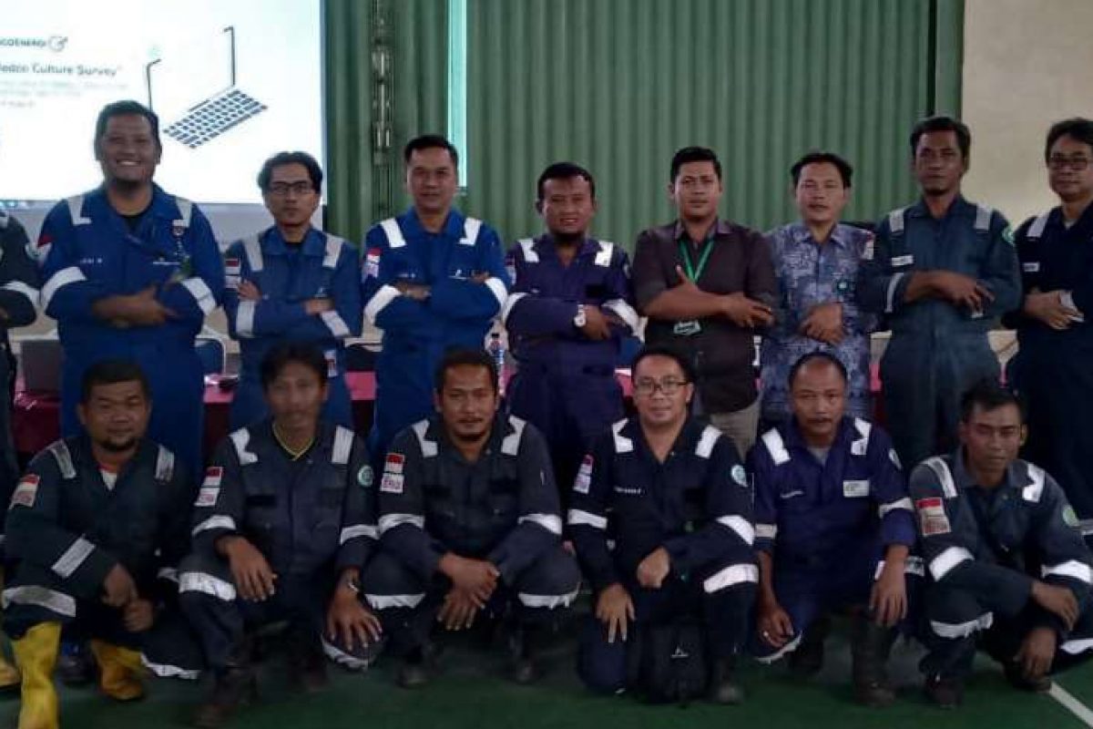 Company Profile DP 202234